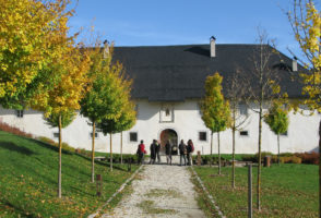 Chartreuse Aillon en automne