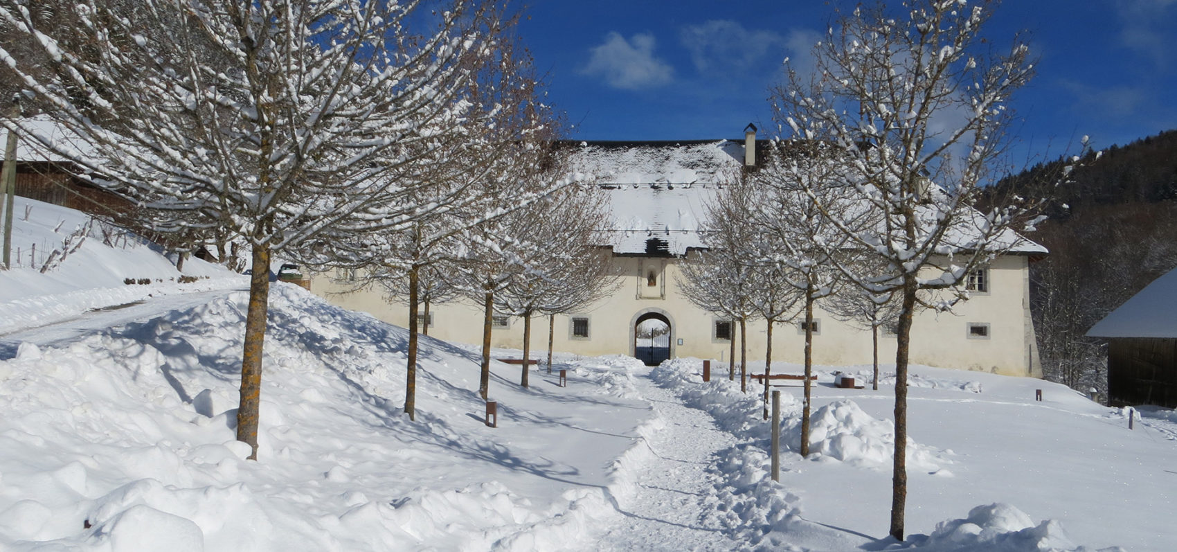 Chartreuse Aillon neige hiver