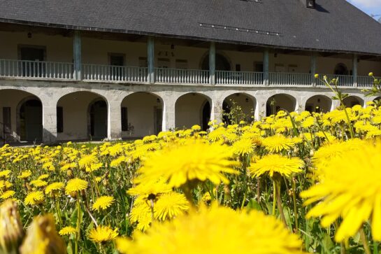 L’été à la Chartreuse d’Aillon