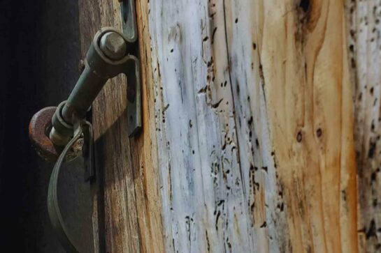 Escape Game – Le plan disparu du Jardin Botanique